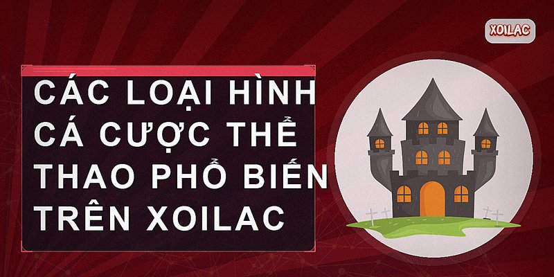 Các giải bóng đá nổi bật tại Xoilac